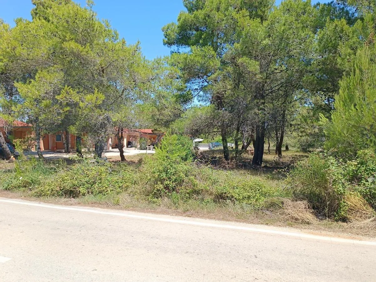 Holiday home Pine Holliday House Villa Vir